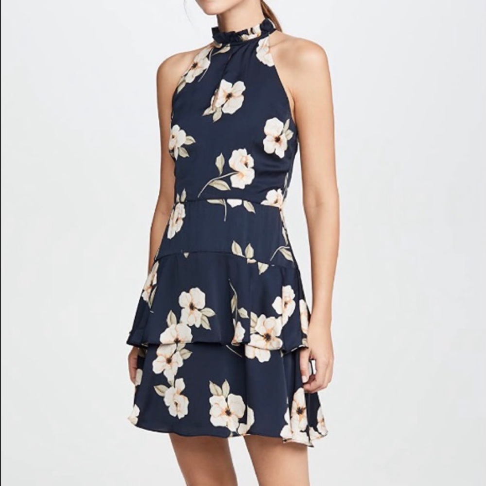 Bb Dakota Gardenia Party mini dress